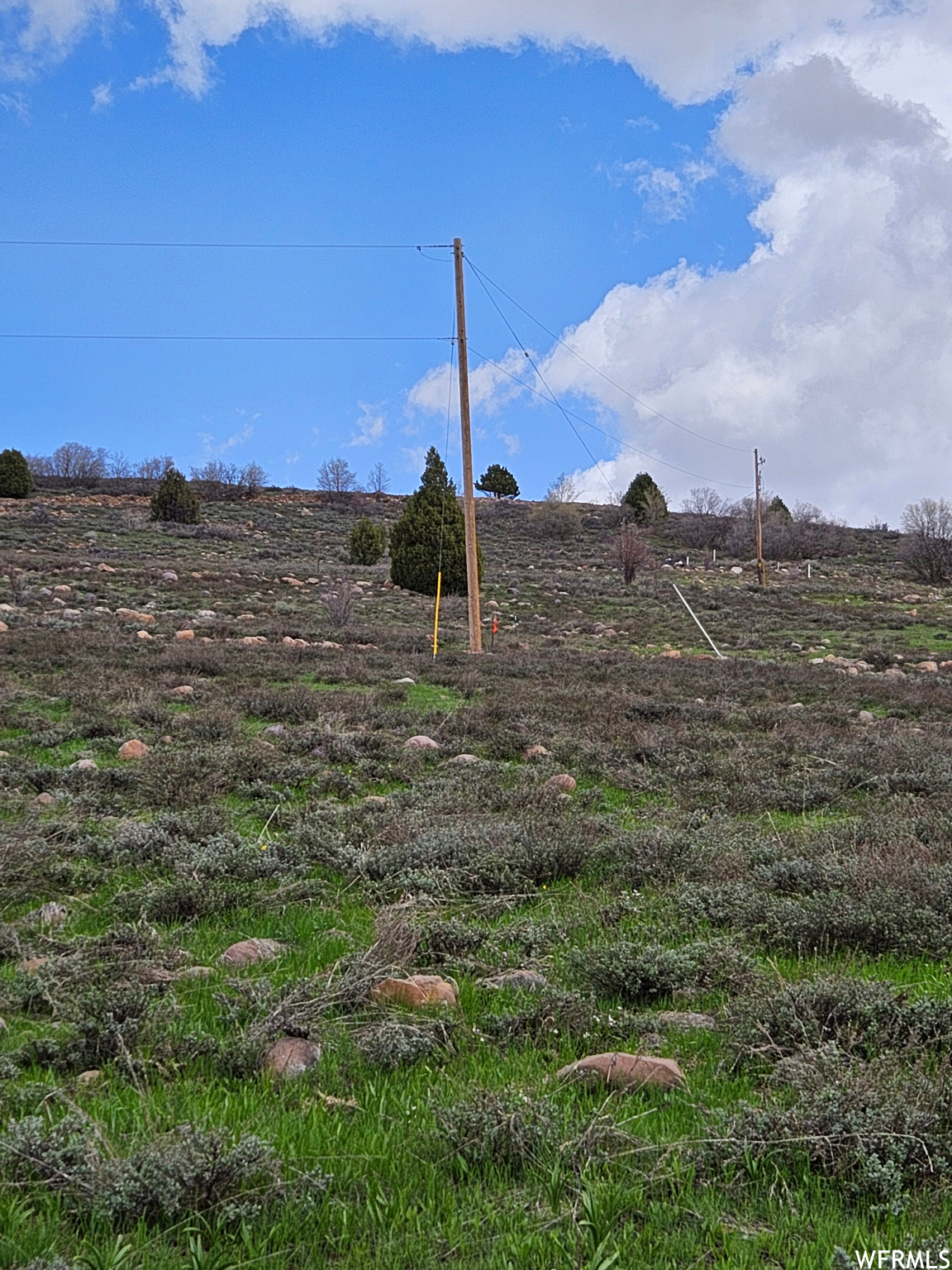 EVERGREEN PARK - Land