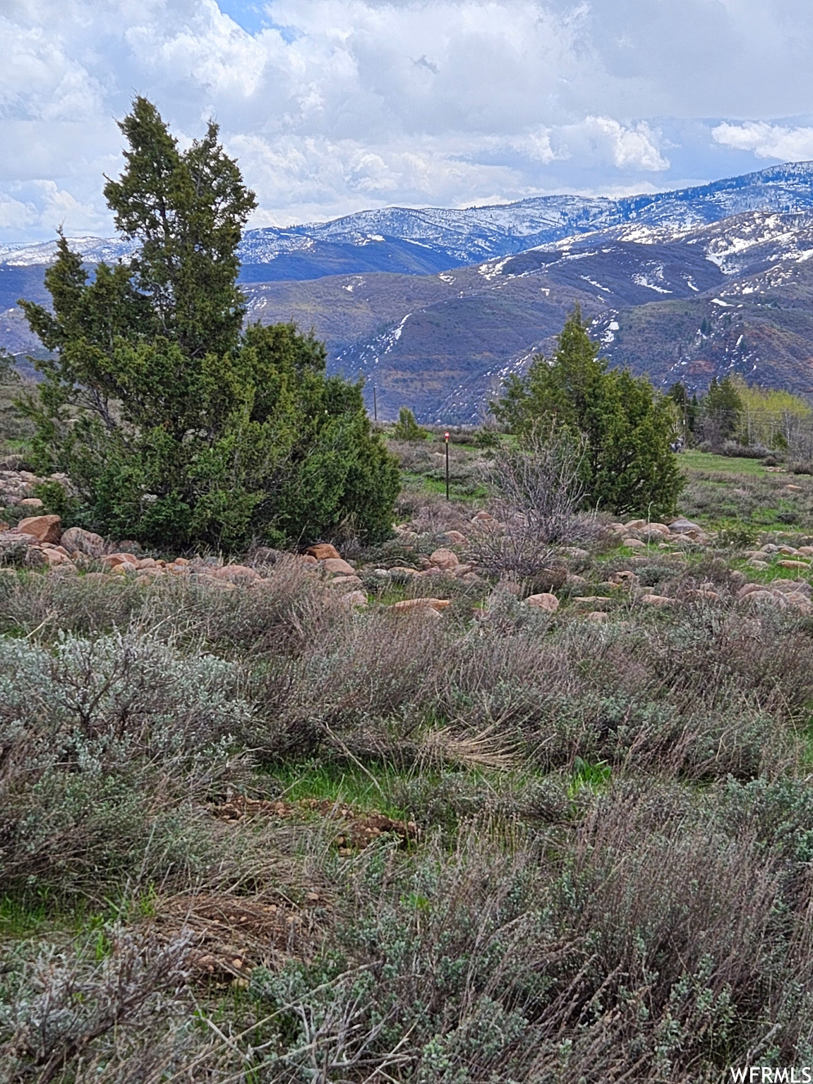 EVERGREEN PARK - Land