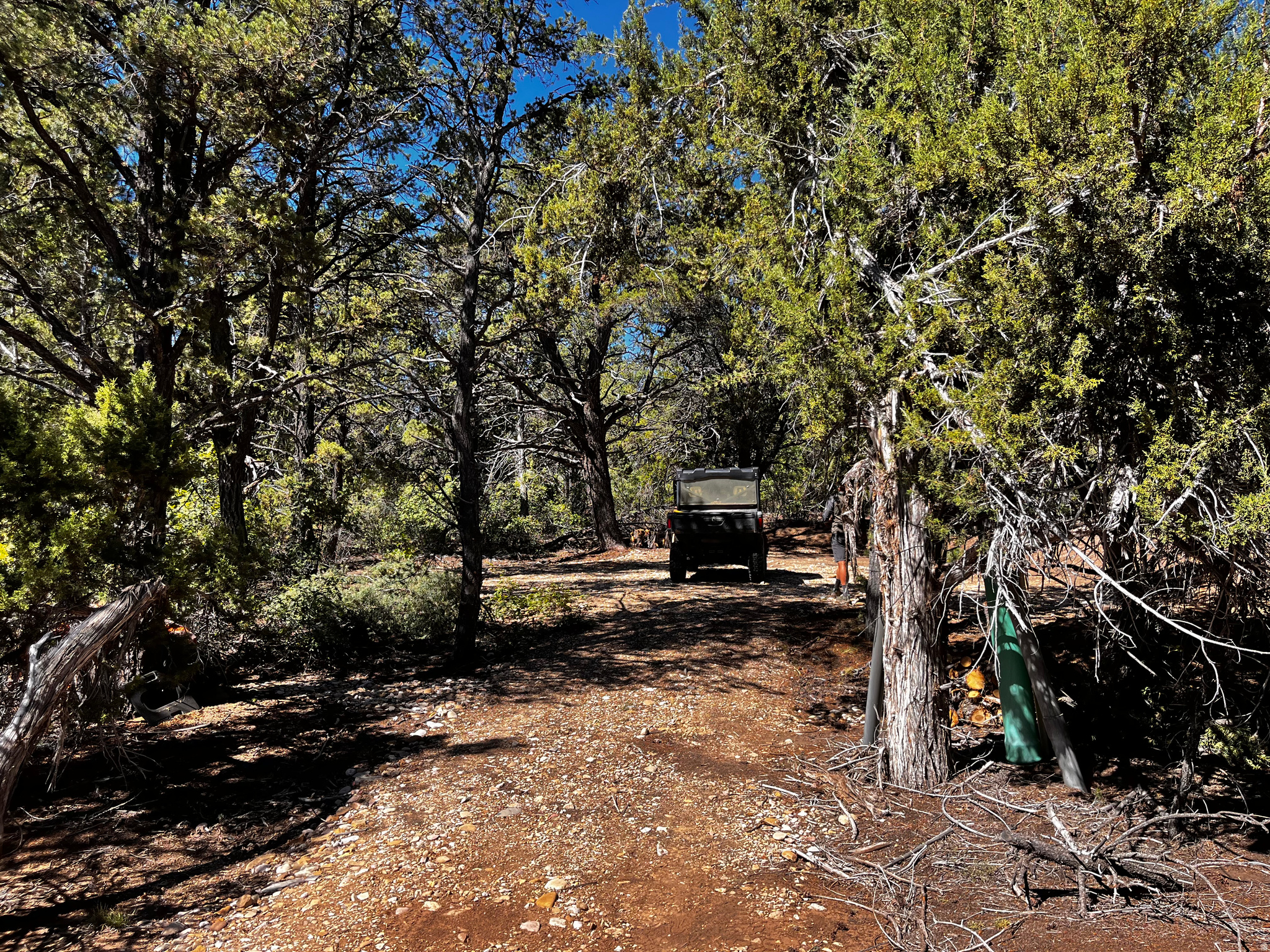ALL OF LOT 12 BLOCK "C" AMEND. PLAT OF LITTLE POND - Land