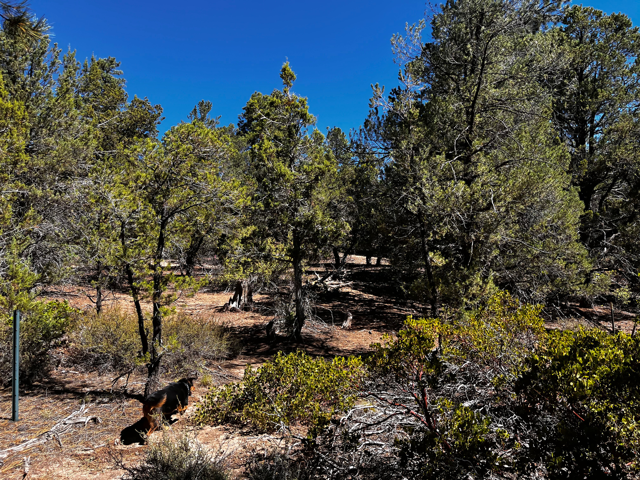 ALL OF LOT 12 BLOCK "C" AMEND. PLAT OF LITTLE POND - Land