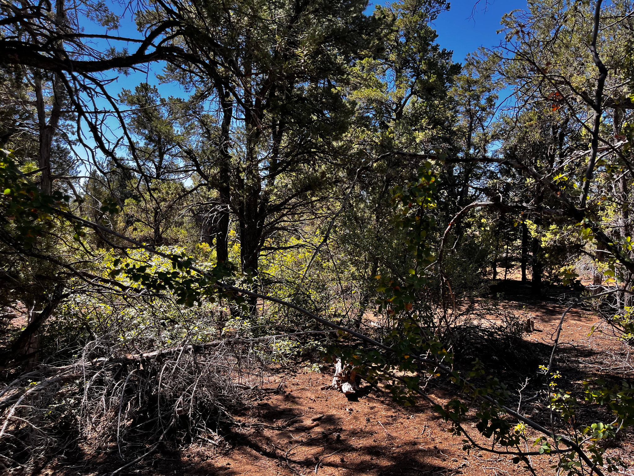 ALL OF LOT 12 BLOCK "C" AMEND. PLAT OF LITTLE POND - Land