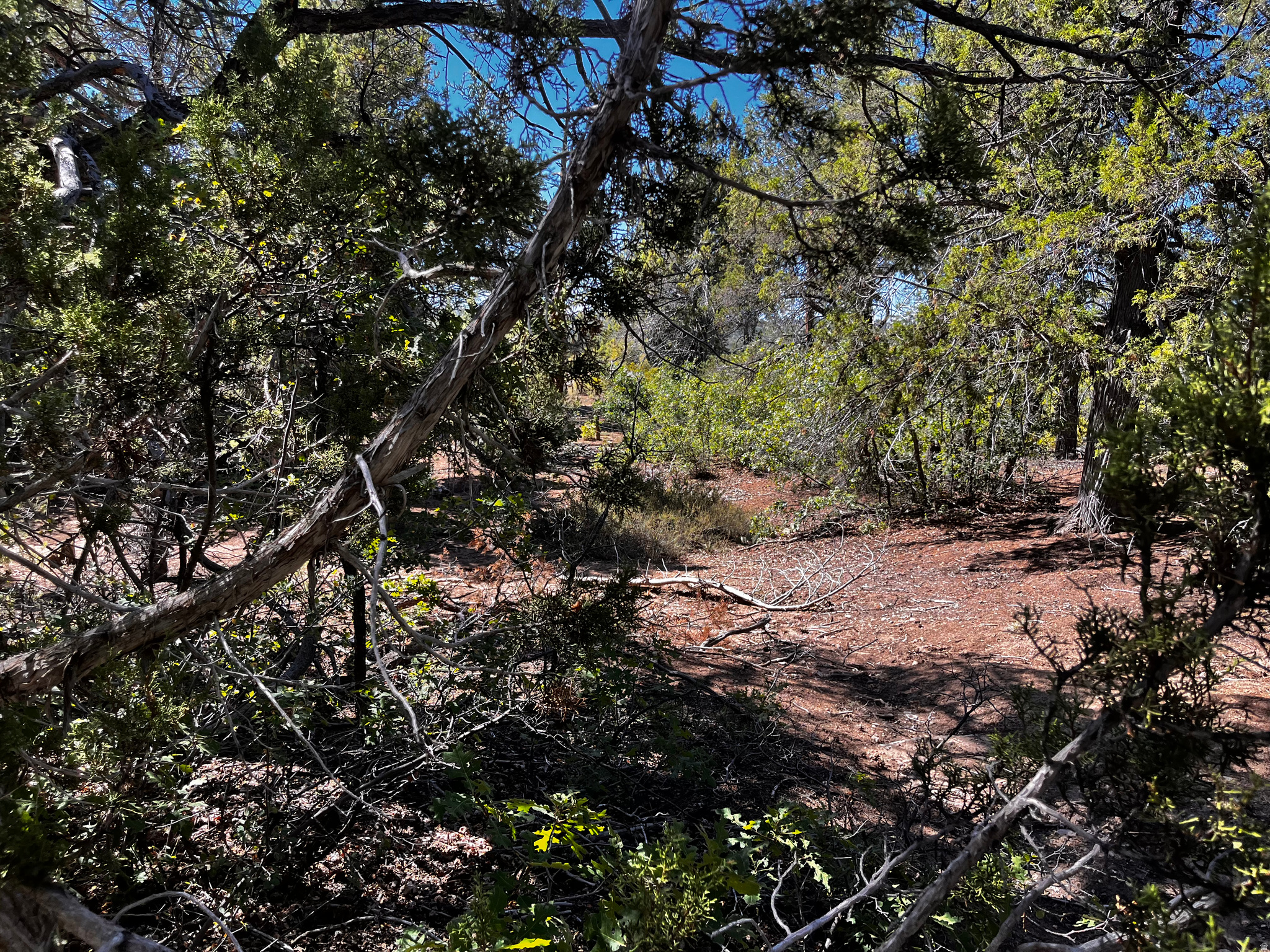ALL OF LOT 12 BLOCK "C" AMEND. PLAT OF LITTLE POND - Land