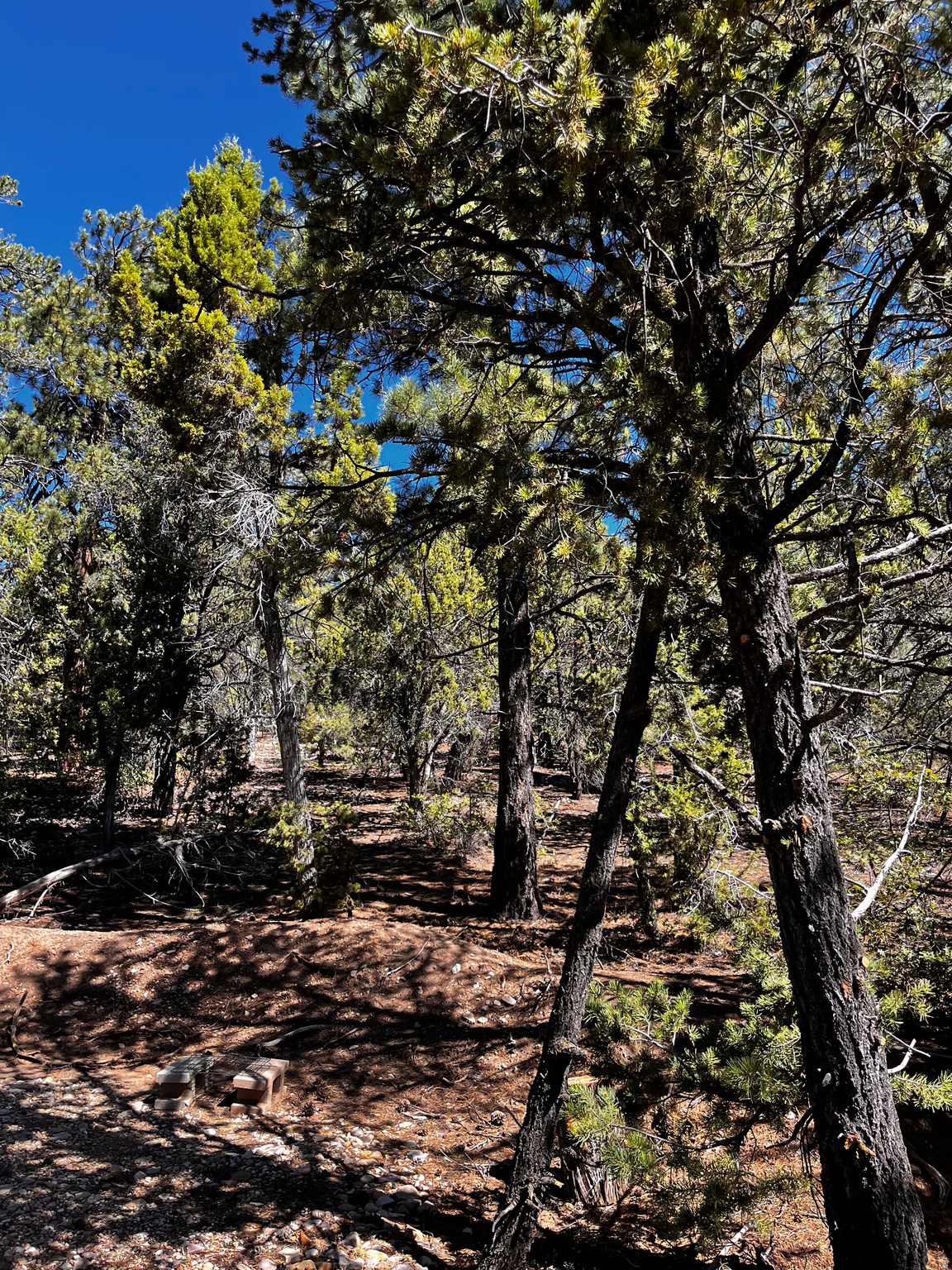 ALL OF LOT 12 BLOCK "C" AMEND. PLAT OF LITTLE POND - Land
