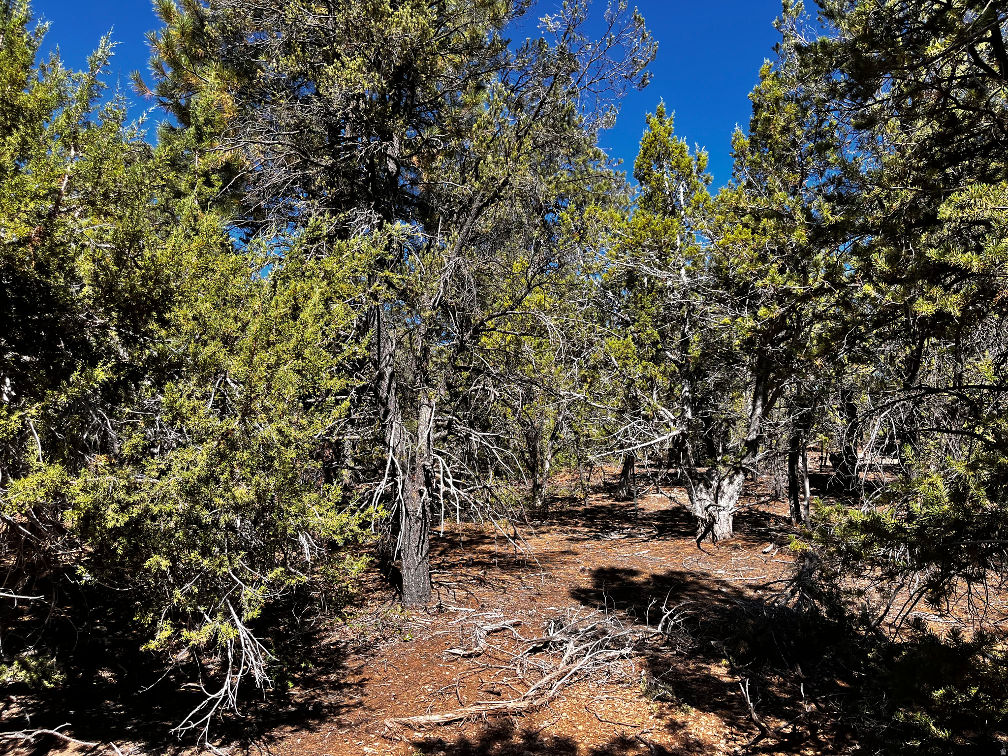 ALL OF LOT 12 BLOCK "C" AMEND. PLAT OF LITTLE POND - Land