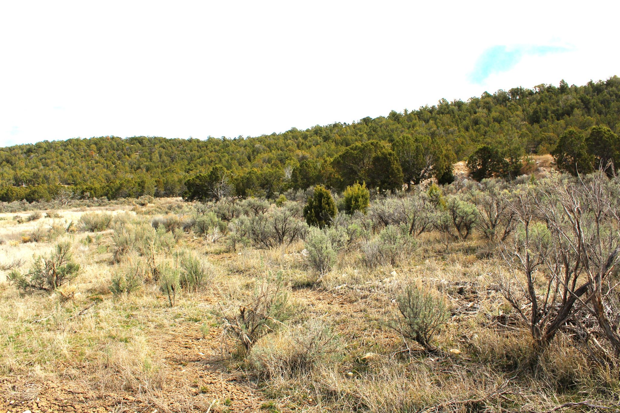 BLACKHAWK MOUNTAIN ESTATES - Land