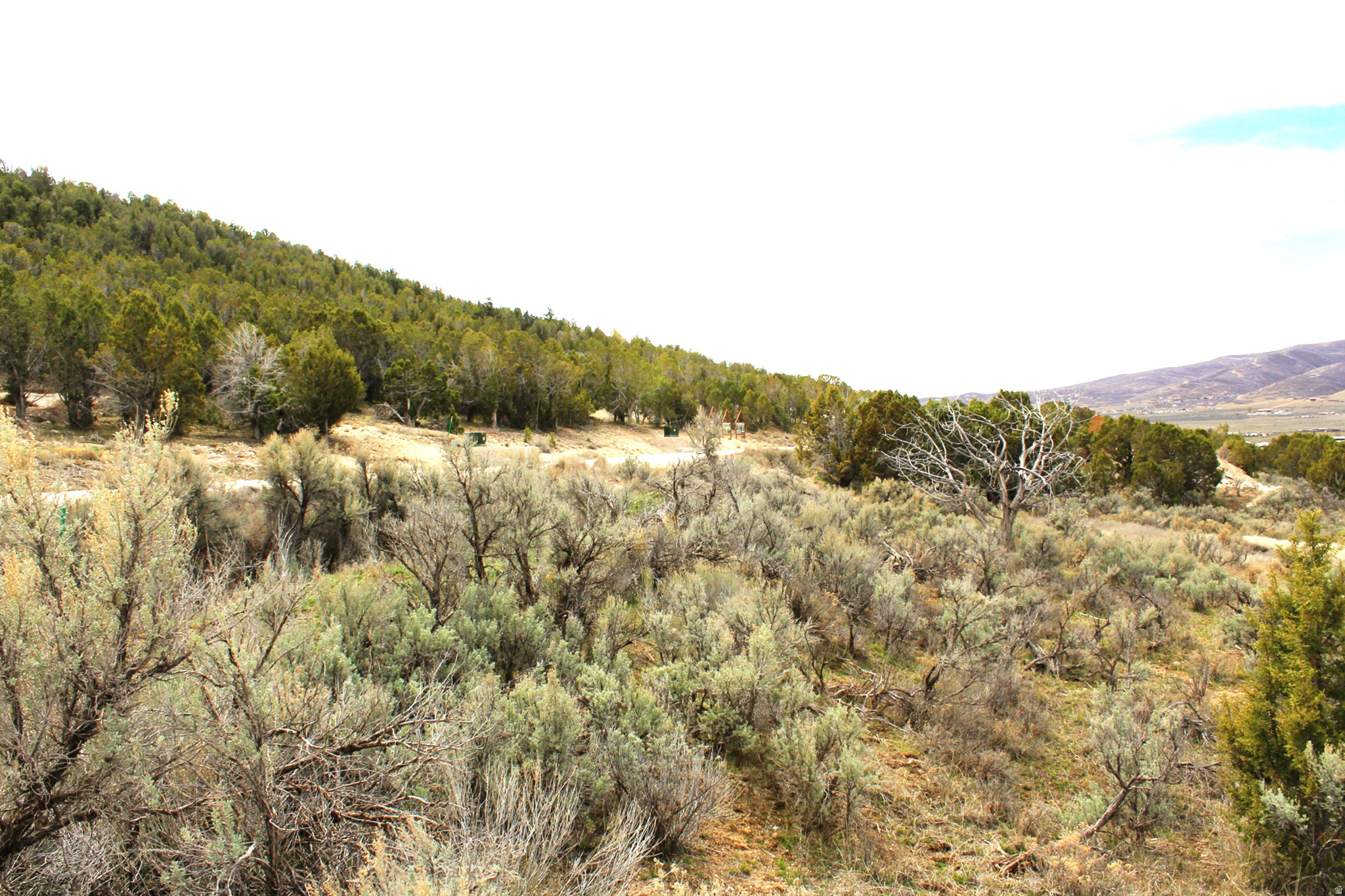 BLACKHAWK MOUNTAIN ESTATES - Land