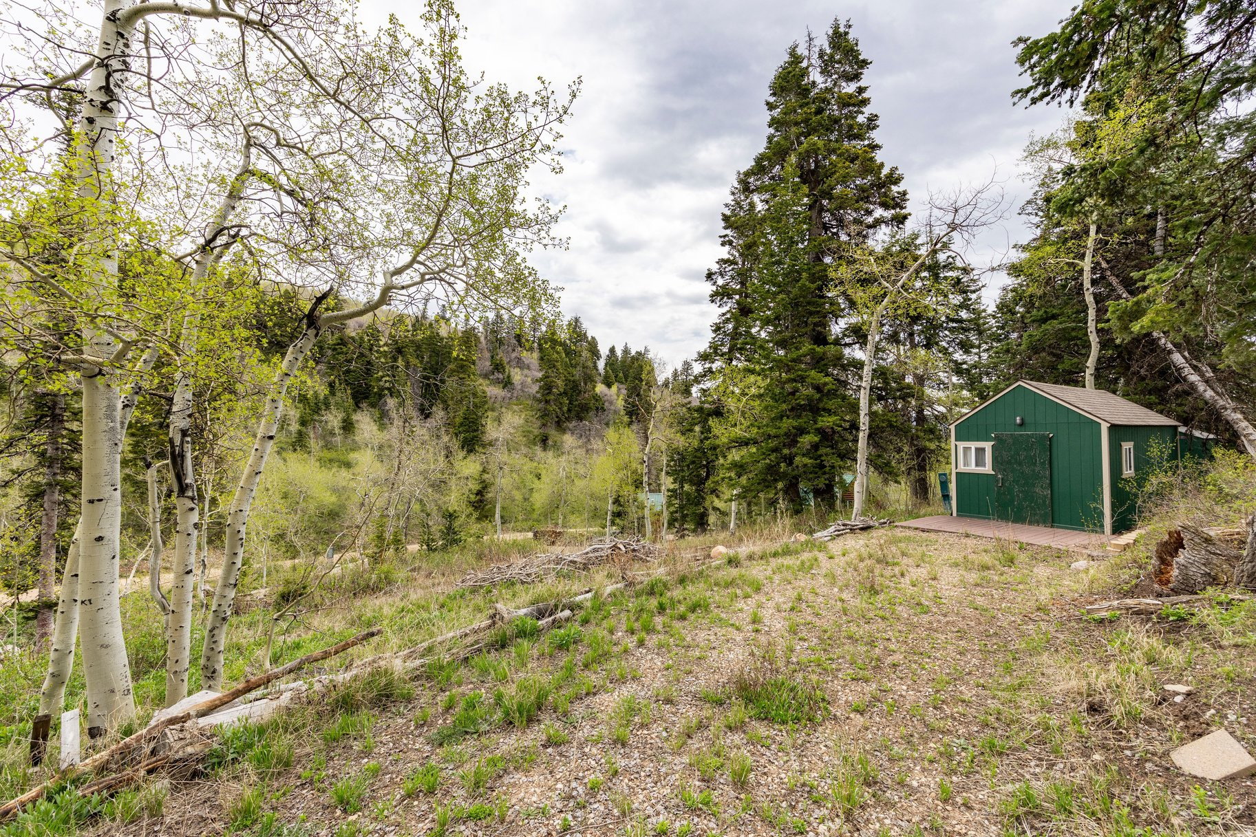 Minutes from Park City, Tollgate Canyon is a private mountain community with large, spread out parcels and frequent wildlife sightings, offering a convenient and idyllic retreat.  This corner parcel is in a quiet and private area, and offers gently sloping terrain that is dotted with mature pines and aspens. It is partially improved with a driveway cut in, a 12' x 20' shed, and existing water and power connections-streamlining the building process. A fire hydrant on the property line offers peace of mind and fire safety, making it an excellent homesite for a custom build or cozy cabin retreat. Located just off the neighborhood plow route, seasonal access is straightforward, with the option to arrange plowing for year-round access at an additional cost. Easily reached just off I-80 (Exit 150), the parcel is a short drive to Park City's renowned skiing, dining, and amenities, and about 50 minutes to Salt Lake City International Airport.
