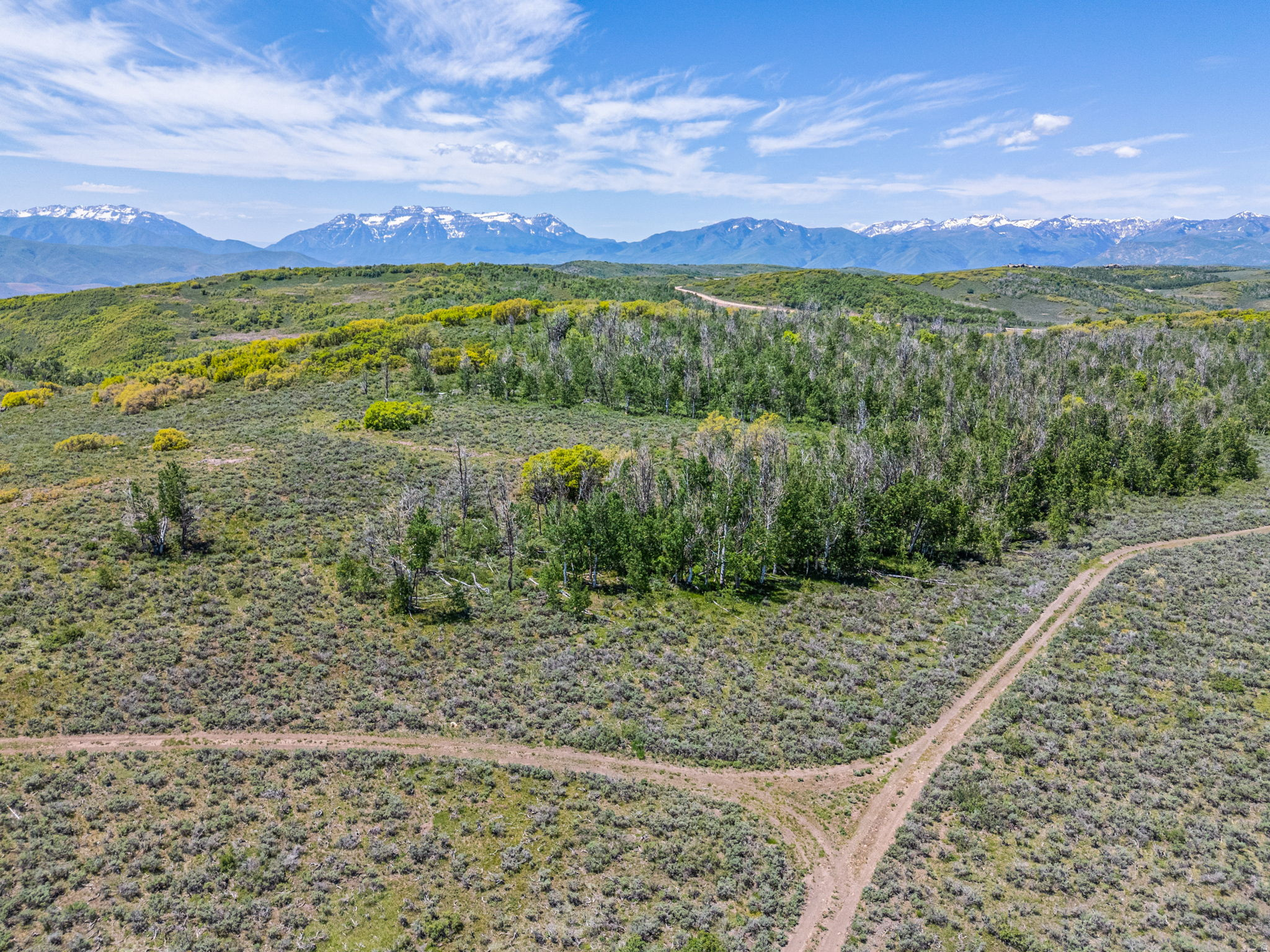 160 acres of rolling terrain within the gates of Wolf Creek Ranch, one of Utah's most carefully protected private communities. Positioned just minutes from the entrance gate near Heber City, the land sits among towering aspens, open alpine meadows, and unobstructed views of Mount Timpanogos and the surrounding Wasatch peaks. This is not a standard homesite. It is a canvas for a legacy compound, a working equestrian property, or a private family retreat built to last generations. Wolf Creek Ranch encompasses over 13,000 acres, 94% of which is permanently preserved as open space. The scale of that protection is rare and essentially irreplaceable. Residents share borders with 2.2 million acres of Uinta National Forest, creating a setting where the land beyond the community lines will never change. Paved roads provide year-round access, and wildlife moves freely across the ranch, with elk sightings a regular part of daily life. The ranch's private amenity network is extensive. Over 60 miles of maintained trails wind through the community, open to horseback riding, hiking, mountain biking, and ATV use in warmer months, with snowmobiling and cross-country skiing through winter. A centrally located Ranch Center hosts community gatherings. A guest lodge and private yurts accommodate visitors. Stocked fishing ponds and exclusive access to a one-mile stretch of the upper Provo River offer world-class fly fishing without leaving the gates. What sets this parcel apart, beyond its size, is its proximity to everything that matters. Heber Valley Airport is 20 minutes away, with the capacity to handle private aviation. Deer Valley Resort skiing is 25 minutes out. Park City's historic Main Street is 35 minutes. Salt Lake City International Airport is under an hour away. The property offers genuine seclusion without a single compromise on access. For someone looking to build a significant equestrian estate, a multigenerational family compound, or a private mountain retreat at a scale that simply does not come available often, at one of the most compelling land opportunities in the state.