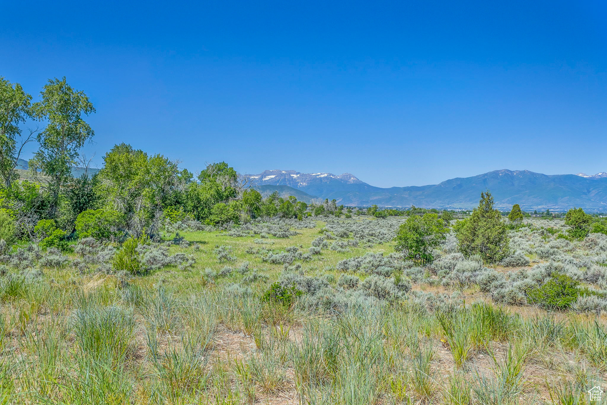 Welcome to Lot 16 at Blue Sage Ranch, an exclusive enclave of just 20 estate lots nestled in the tranquil beauty of the Heber Valley. This rare homesite includes thoughtfully designed architectural plans by architect James R. Meyer, AIA, renowned for his ability to seamlessly integrate modern living with the surrounding natural landscape. Perfectly positioned to take advantage of a seasonal stream that draws native wildlife, Lot 16 stands out, offering sweeping panoramic views, with Mount Timpanogos elegantly framed just beyond your future backyard. The gently sloped topography provides a balance of privacy and accessibility, with direct connection to the private Blue Sage Trail system. Blue Sage Ranch spans over 82 acres of preserved open space, creating a sense of seclusion without sacrificing convenience. Stay connected with just 10 minutes to Heber's charming Main Street and the private Heber Valley Airport, 20 minutes to world-class skiing at Deer Valley Resort, 30 minutes to Park City's historic Main Street and the cities of Orem and Provo, and under one hour to Salt Lake City International Airport. This is more than a parcel of land-it's a rare opportunity to build a legacy residence where nature, architecture, and lifestyle converge. Come walk the property and envision the extraordinary possibilities.