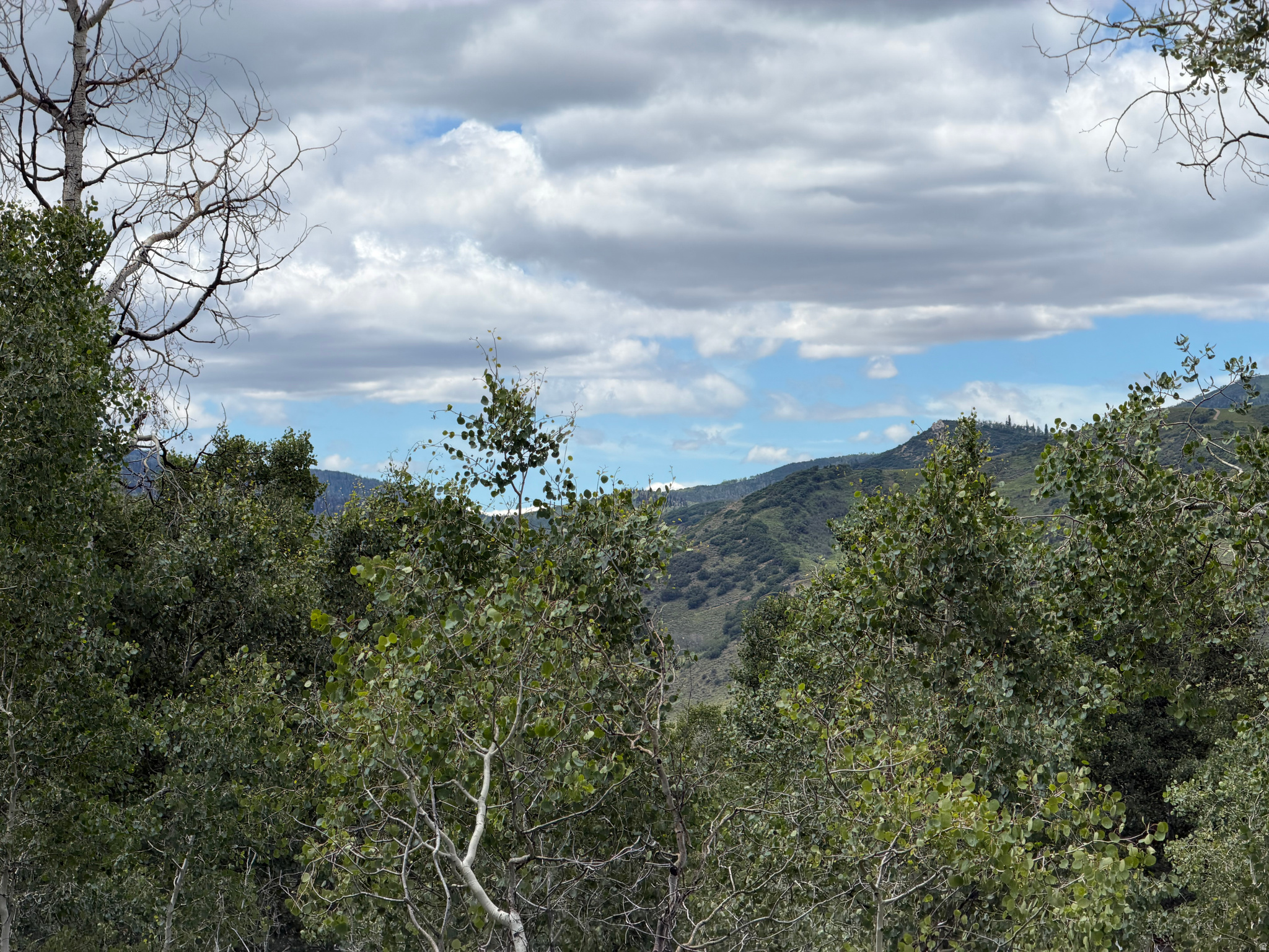 PINE MOUNTAIN #3 SUBDIVISION - Land