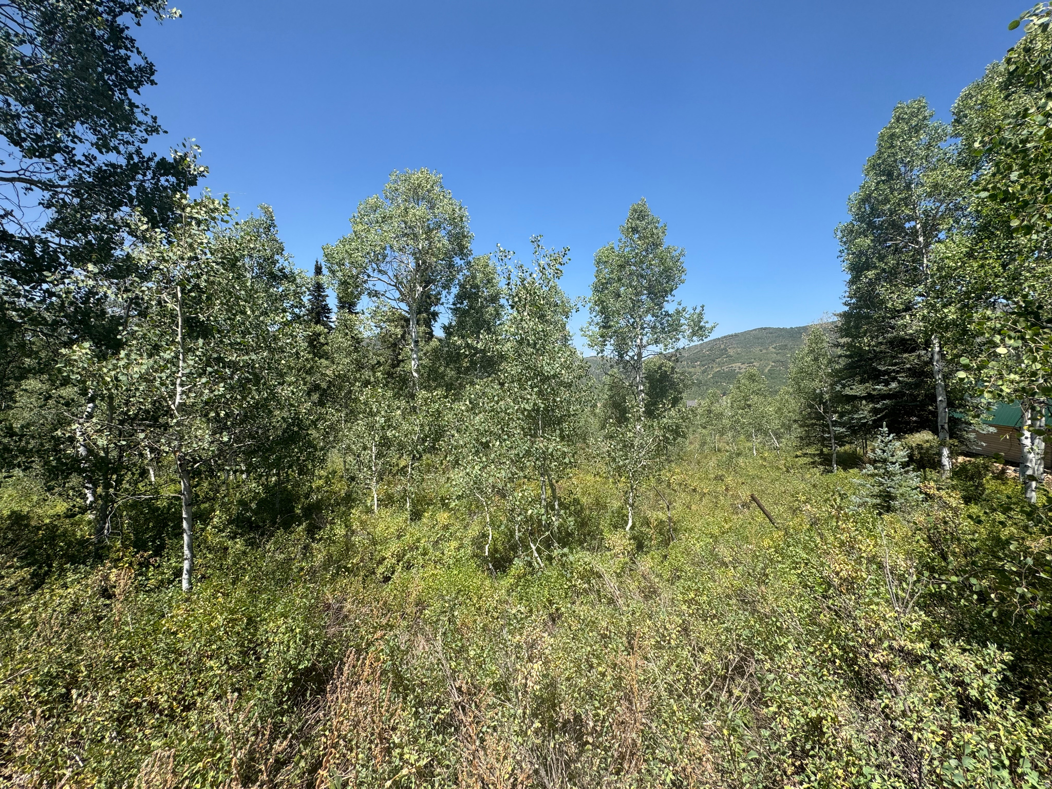 PINE MOUNTAIN #3 SUBDIVISION - Land