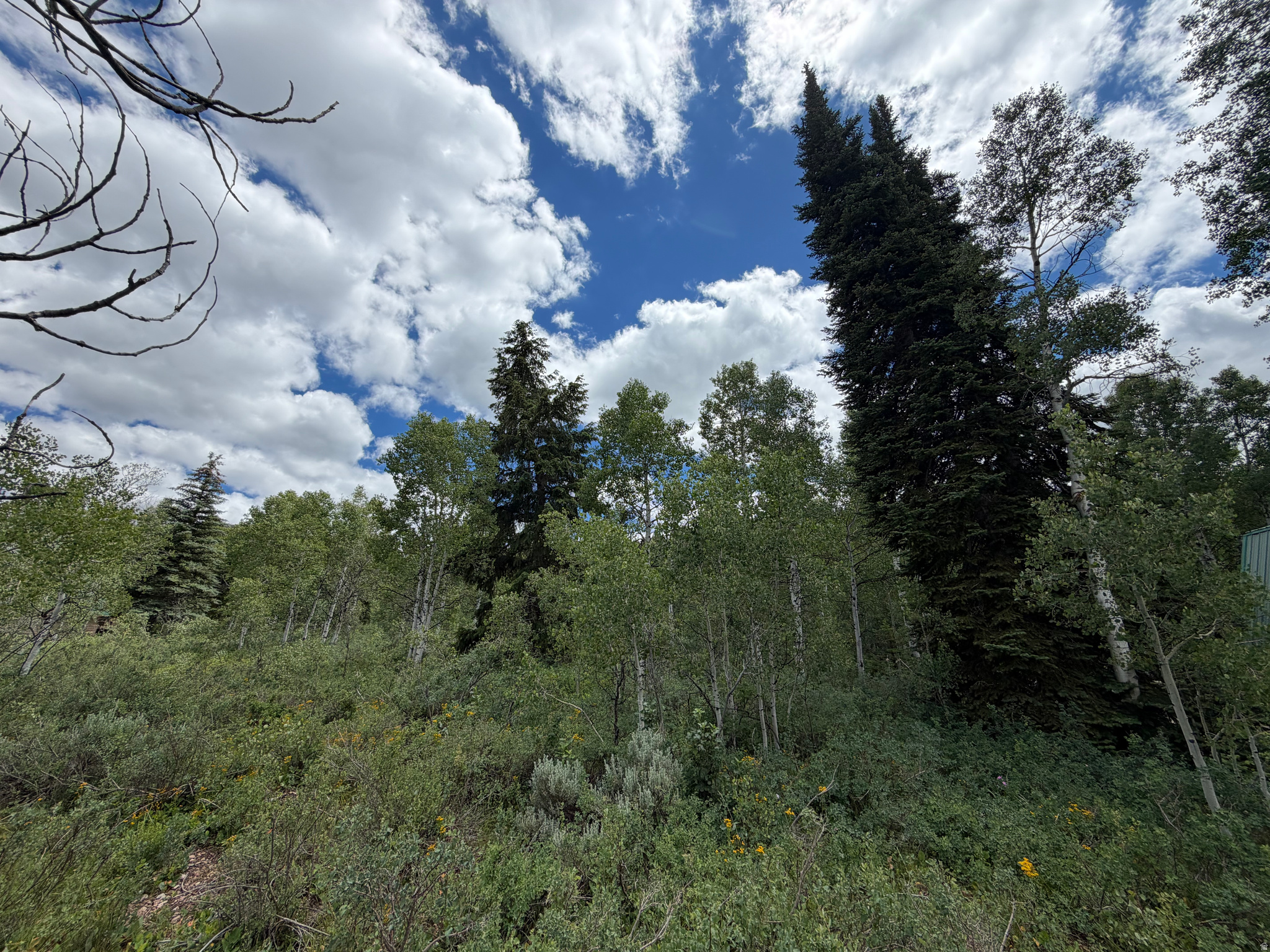 PINE MOUNTAIN #3 SUBDIVISION - Land