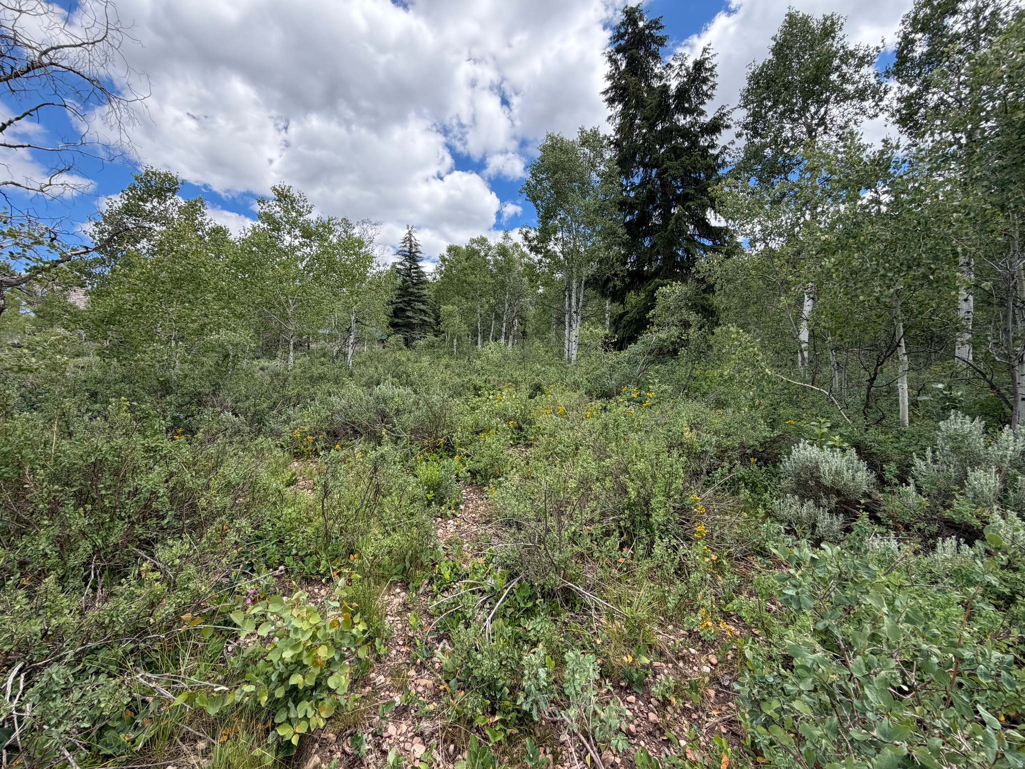 PINE MOUNTAIN #3 SUBDIVISION - Land