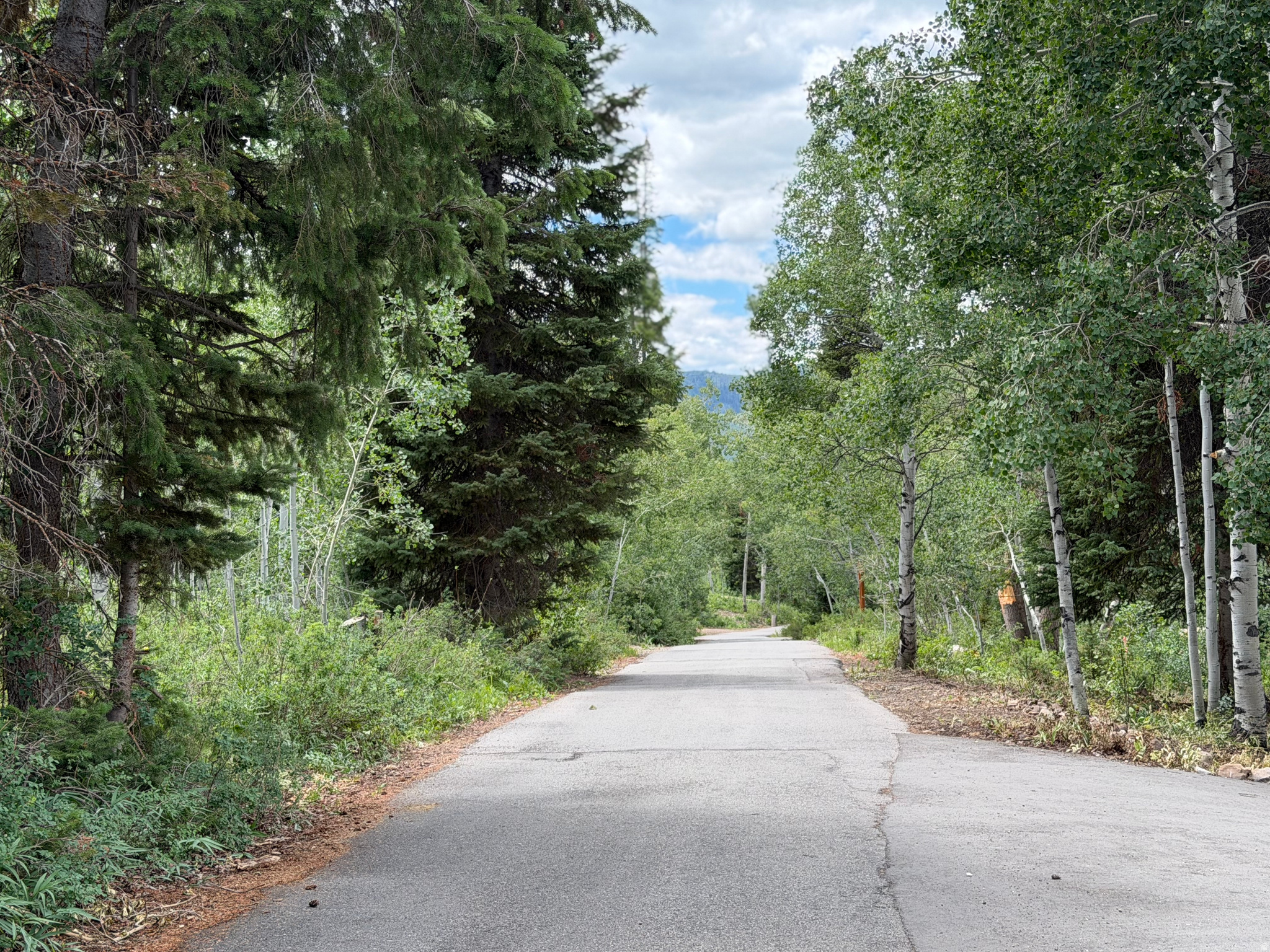 PINE MOUNTAIN #3 SUBDIVISION - Land