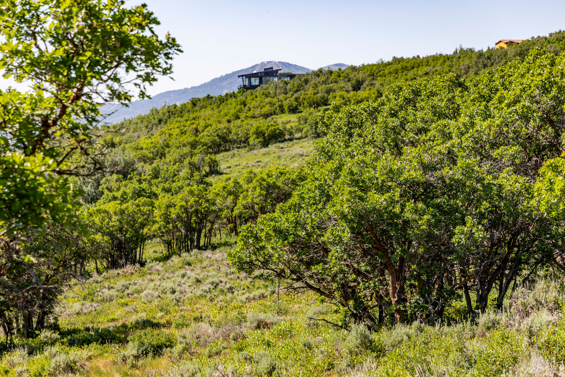 RANCHES AT THE PRESRVE - Land