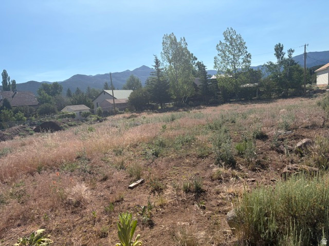 PINE VALLEY RANCHOS - Land