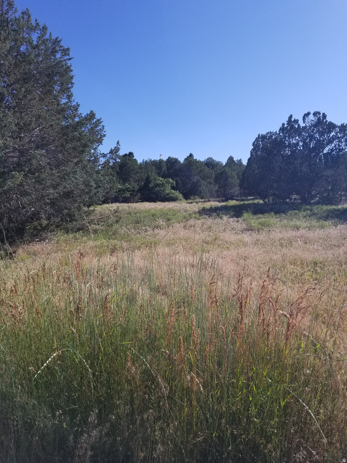 KOLOB RANCH / BLACK RIDGE RANCHES - Land