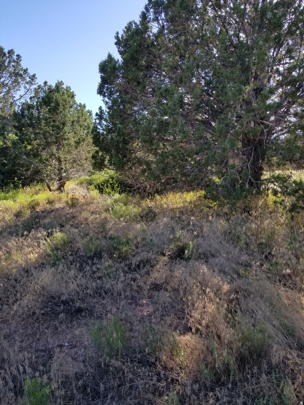 KOLOB RANCH / BLACK RIDGE RANCHES - Land
