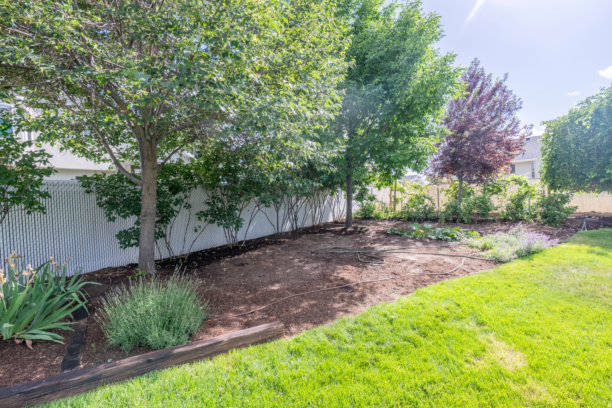 RED PINES - Residential