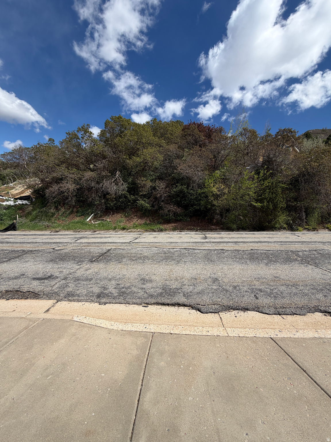 Spectacular Value with Unmatched Views! Rare opportunity to own a prime East Bench lot offering breathtaking, panoramic views in a secluded and private setting. This property is brimming with potential-perfect for building your dream home in one of Ogden's most desirable areas. Enjoy the peace and quiet while still being just minutes from city amenities. Utilities (water, gas, and power) are not currently connected, but the city confirms they are available in the street. Buyer to verify lot lines and all information.