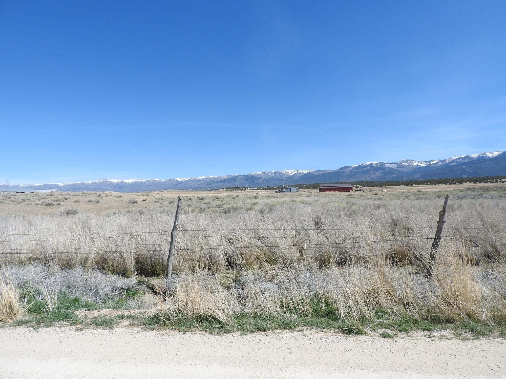 This beautiful acreage is located in the heart of an agricultural area of Chester, Utah.Includes 1 acre water right. Has a large (37'x240' livestock/poultry barn ideal for many uses. It has beautiful views of the valley and mountain areas and 5 miles north to Mt.Pleasant and 8 miles south to Ephraim/close to Hwy 117 and Hwy 89. Peace and quiet at no extra charge. Buyer to verify all information.