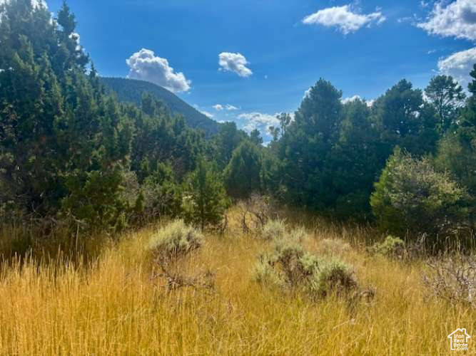 CEDAR HIGHLANDS SUBDIVISION - Land