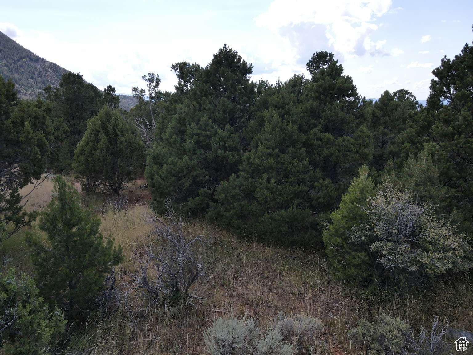 CEDAR HIGHLANDS SUBDIVISION - Land