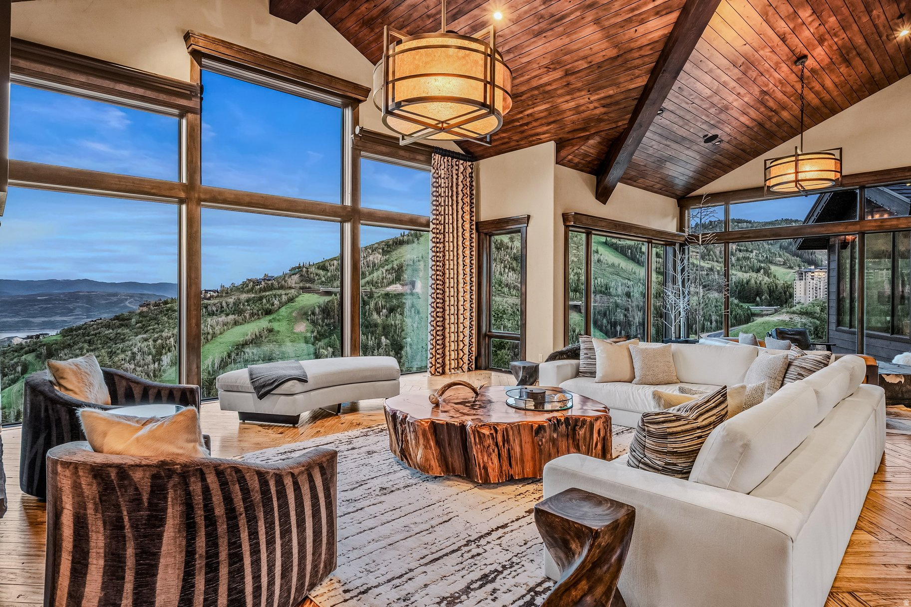 SNOWTOP - Residential