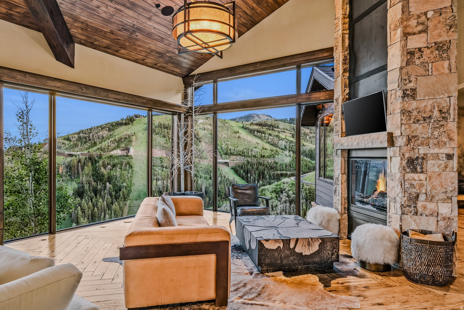 SNOWTOP - Residential