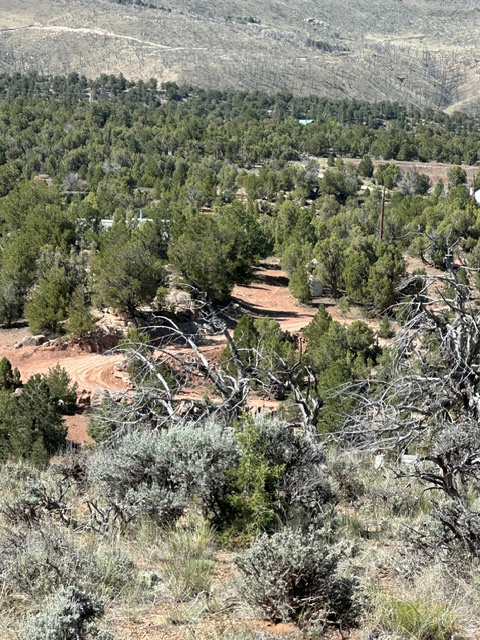 RED CREEK RANCHES - Land