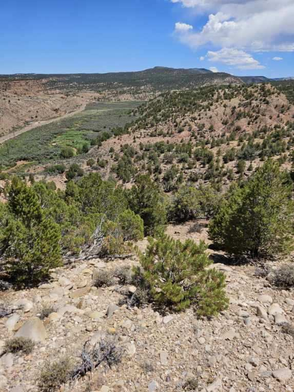 RED CREEK RANCHES - Land