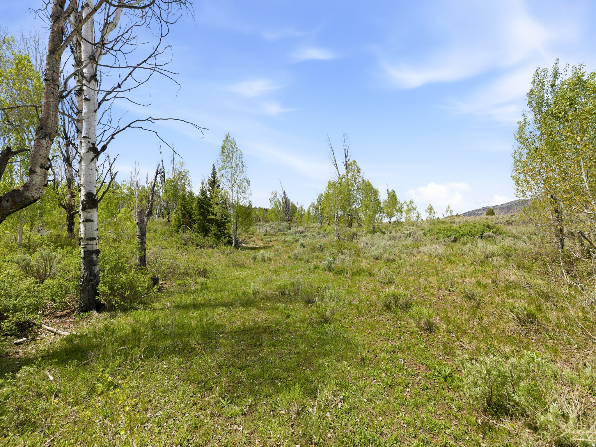 SOLDIER SUMMIT ESTATES - Residential