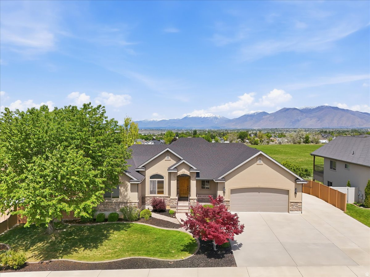 MOUNT LOAFER VIEW - Residential