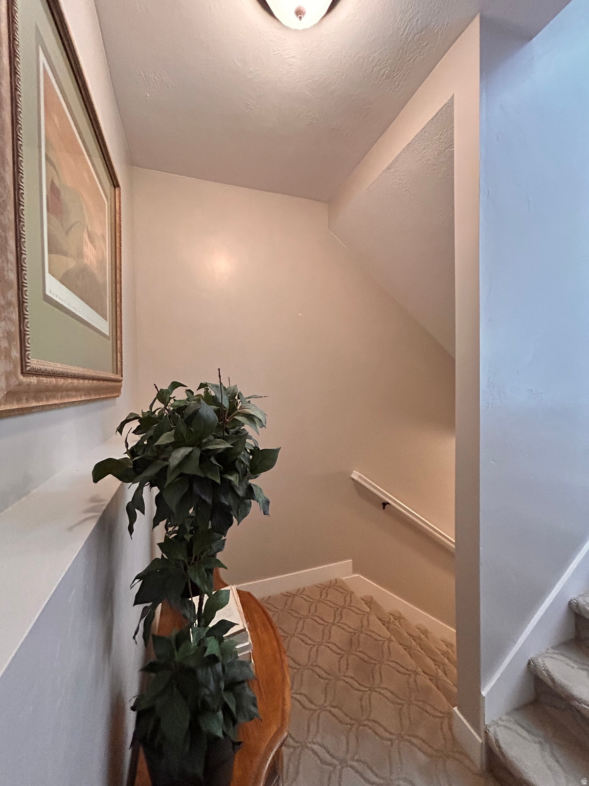 RIDGE - Residential