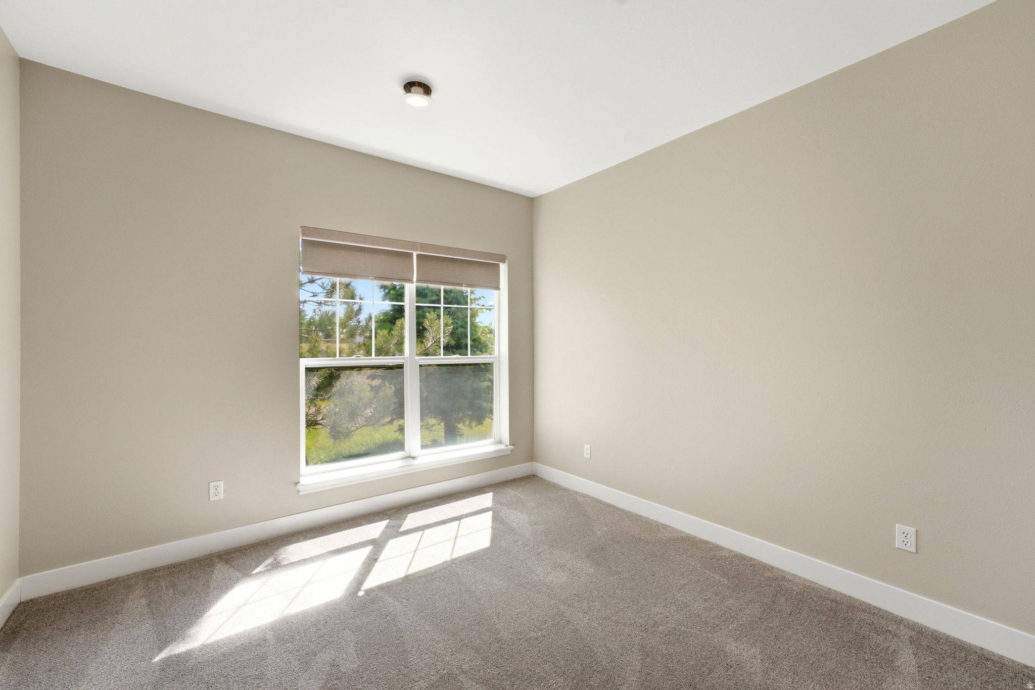 CANYON CREEK CONDO - Residential Lease