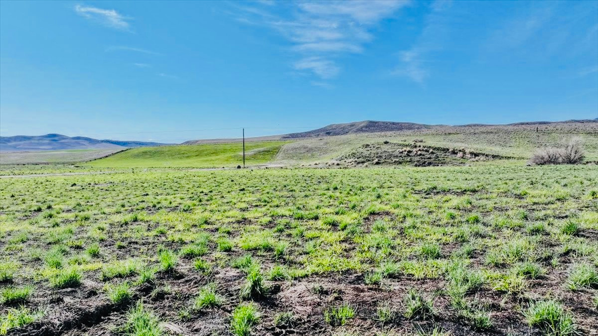 Be one of the seven homes in the whole canyon! Black Canyon Creek runs through this perfect sized almost level building lot. No covenants to deal with and no HOA. Power is on site,  just need a well and septic. Has final approval from the county but will be ready to build! This lots is blue on the Map