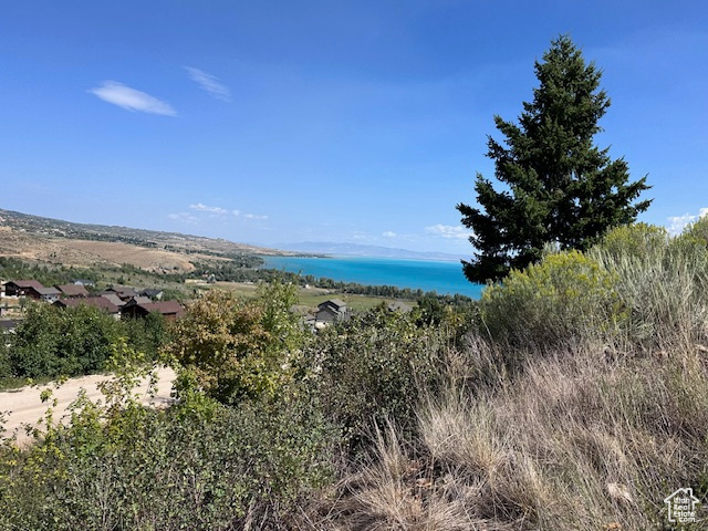 HUGE PRICE REDUCTION! Mountain lot in Swan Creek - and Adjacent Lot for sale! Buy both and build your dream cabin here. Gorgeous views of Bear Lake! Swan Creek has low HOA fees. Year Round Access, gated community. Drive by today!