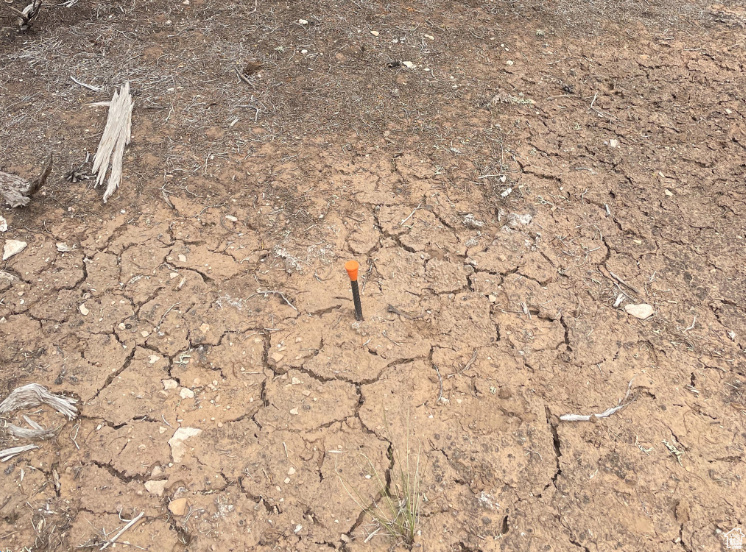 ORANGE MOUNTAIN - Land