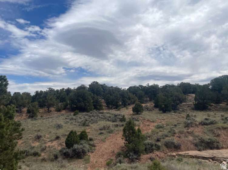 Escape to the tranquil Orange Mountains of Fruitland, Utah with this incredible 8.92-acre parcel offering a perfect blend of privacy, natural beauty, and potential! Ideal for recreational use or year-round living, this versatile parcel is a haven for outdoor enthusiasts. Spend your days camping, hiking, riding ATVs, or simply soaking in the solitude and wildlife. Build a custom mountain cabin, a weekend getaway, or go fully off-grid  solar panels are already installed! As you pull into the property you will find a circular driveway with 6 cleared out camping spots for friends or family to join in on the fun! Gather around the fire at night and enjoy cool mountain breezes and starlit skies away from city lights. This beautiful property is also located just minutes from Starvation Reservoir and surrounded by thousands of acres of public land. This area is known for its fishing, boating, hunting, and quiet beauty. Easy access via maintained roads. Acerage figures are provided as a courtesy estimate only and were obtained from county records . Buyer is advised to obtain an independent measurement.