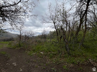 TOLLGATE CANYON - Land
