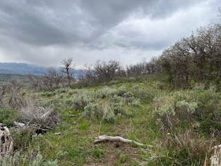 TOLLGATE CANYON - Land