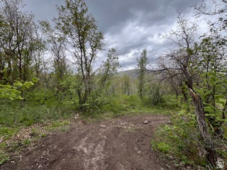TOLLGATE CANYON - Land