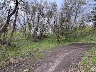 TOLLGATE CANYON - Land