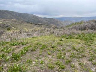 TOLLGATE CANYON - Land