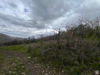 TOLLGATE CANYON - Land