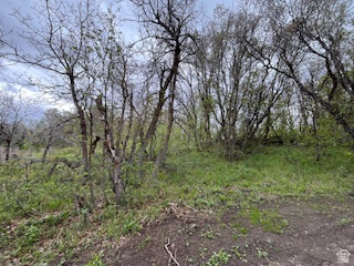 TOLLGATE CANYON - Land
