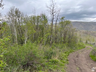 TOLLGATE CANYON - Land