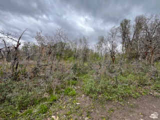 TOLLGATE CANYON - Land