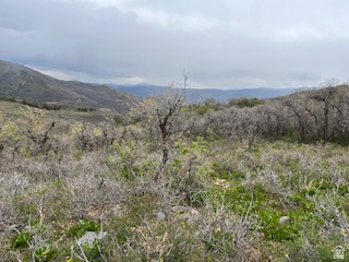TOLLGATE CANYON - Land