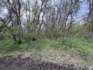 TOLLGATE CANYON - Land